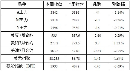 豆类0608.jpg