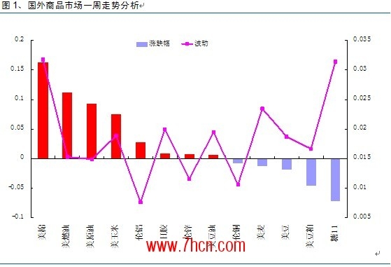 棉花付晓燕1.jpg