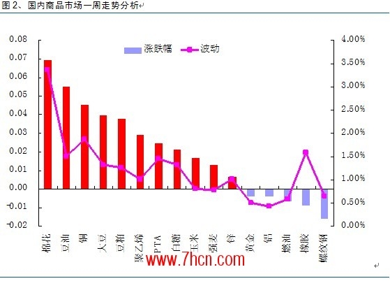 棉花付晓燕2.jpg