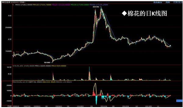 nEO_IMG_德亚报告会0831-6.jpg