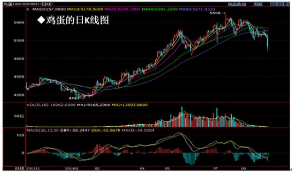 nEO_IMG_德亚报告会08318.jpg