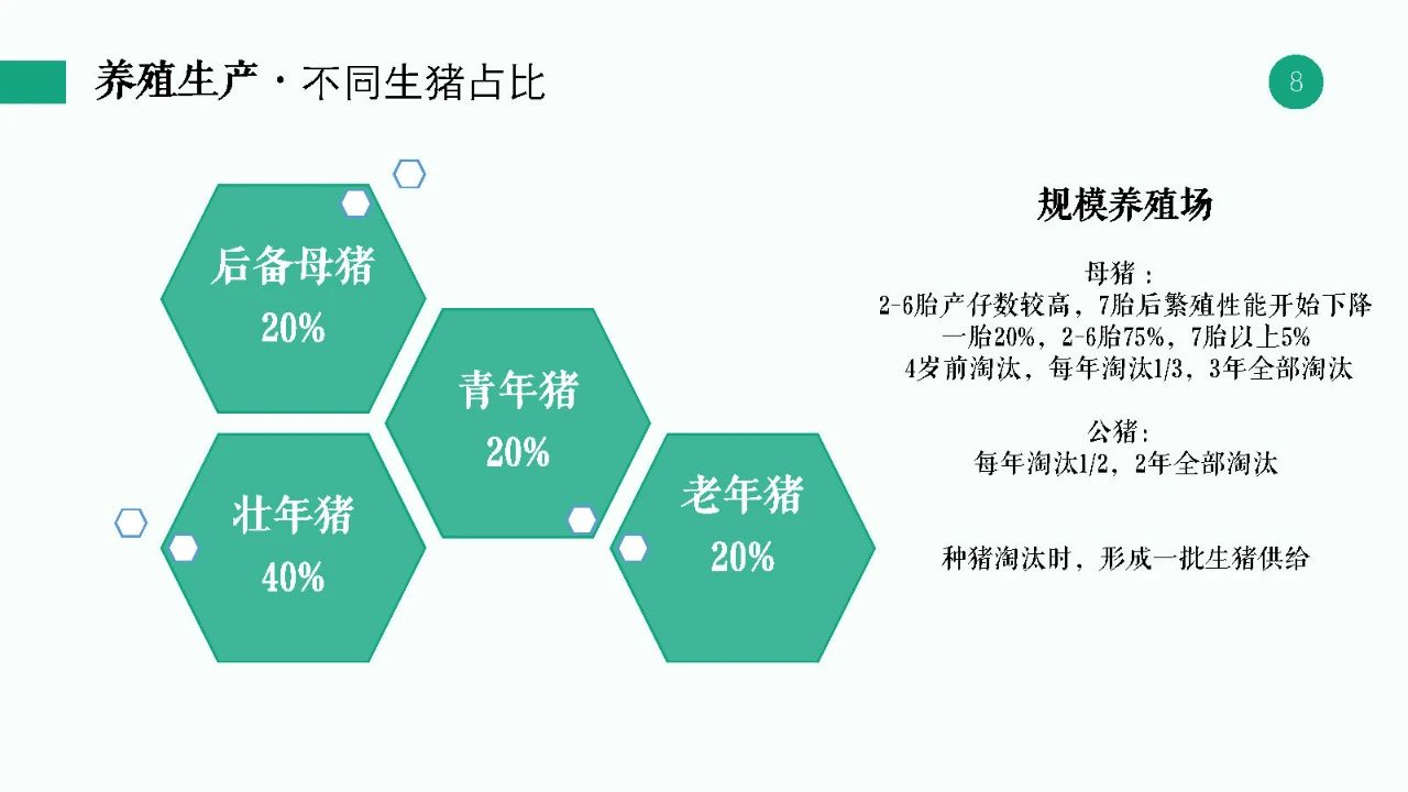 图解生猪养殖产业链