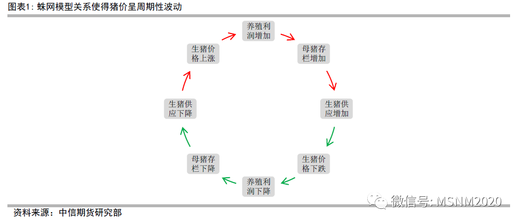 猪周期循环图图片