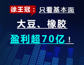 徐王冠：只看基本面，大豆、橡胶盈利超70亿！