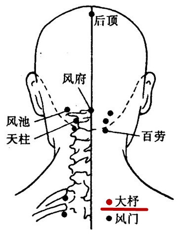 颈椎上的经络图图片
