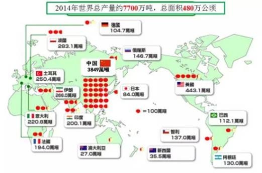 备战苹果期货:市场规模,产地气候,价格波动因素,这篇文章都有了